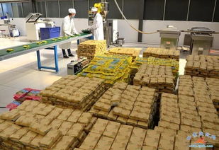 满城尽是黄金谷 这里拥有张掖最美秋景