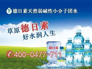 房屋出租 圣火公园北侧平房设施齐全,水电气暖全包,家具齐备 领包入住 联系电话18947370685