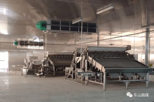杠杠滴 这些项目全力全速推进