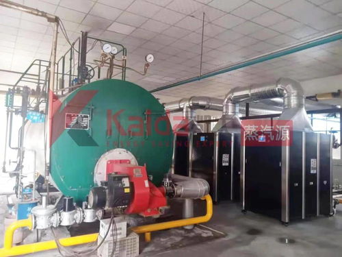 凯大超低氮变频蒸汽源机组在食品厂的创新应用——以贵州弱碱水设备为例